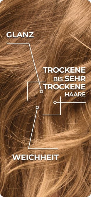 Ultra-nährendes Creme-Shampoo